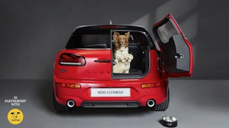 MINI Partners with Dogs Trust