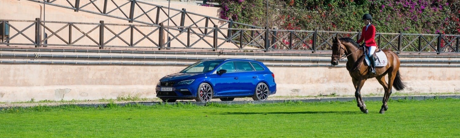 SEAT LEON CUPRA AND SHOW JUMPING HORSE CONTEST AGILITY CHALLENGE
