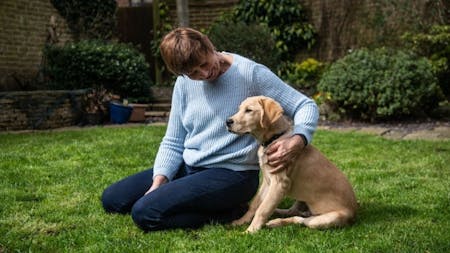 From Playful Puppy to Proficient Guide Dog