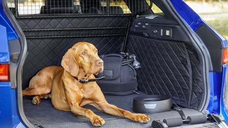 Jaguar Has The Perfect Present For Your Pet This Christmas